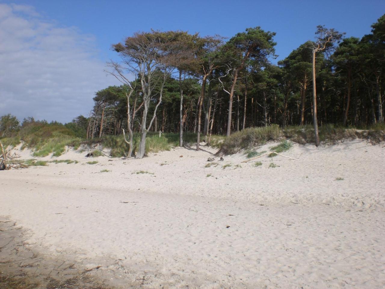 Appartamento Achtern - Diek - Am Strand Zingst Esterno foto