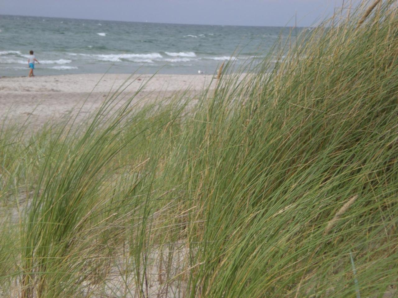 Appartamento Achtern - Diek - Am Strand Zingst Esterno foto