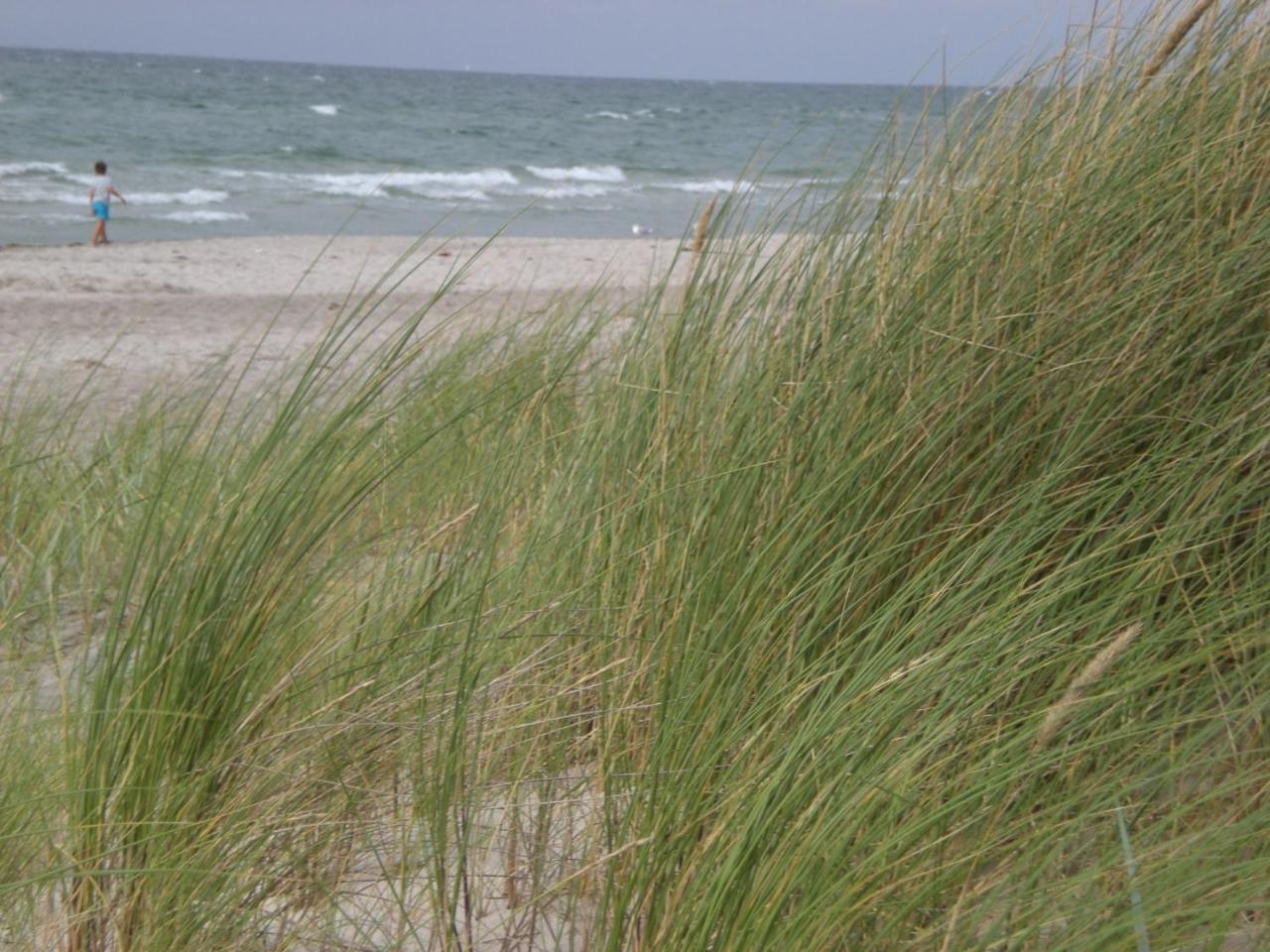 Achtern - Diek - Am Strand Zingst Esterno foto