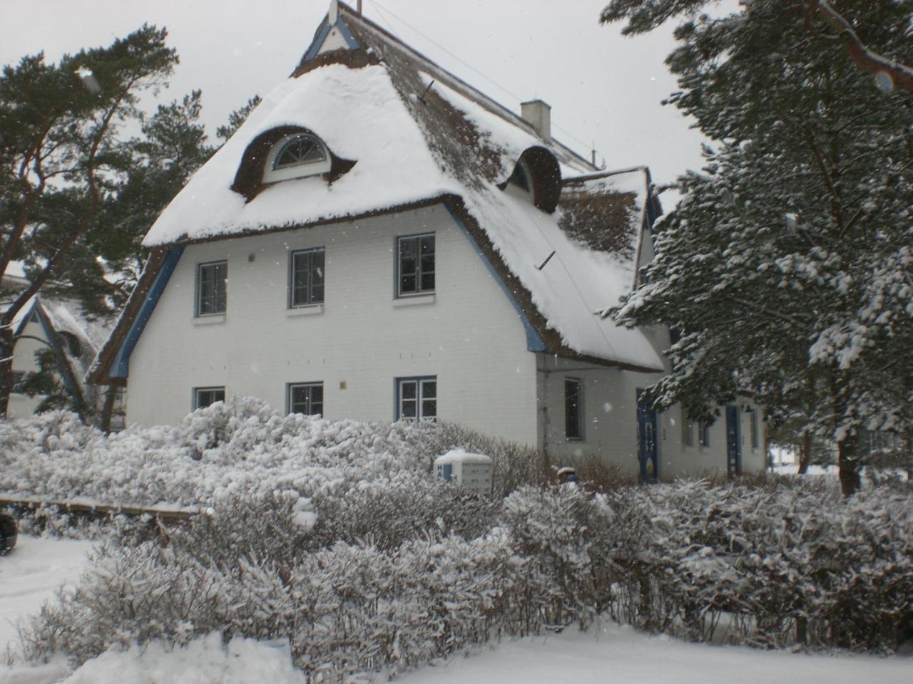 Appartamento Achtern - Diek - Am Strand Zingst Esterno foto