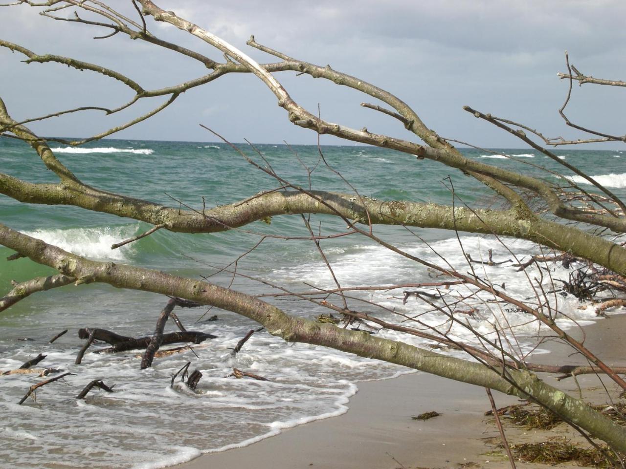 Achtern - Diek - Am Strand Zingst Esterno foto