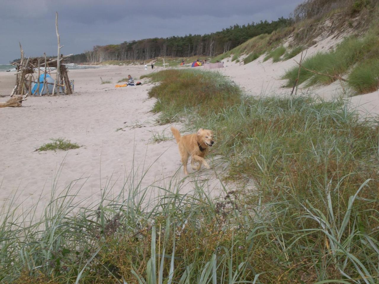 Achtern - Diek - Am Strand Zingst Esterno foto