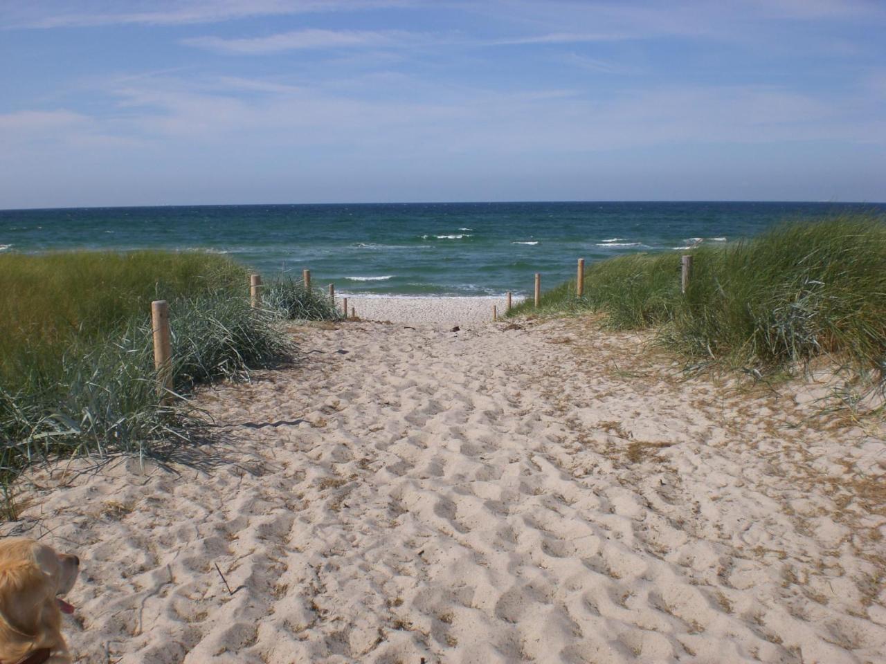 Appartamento Achtern - Diek - Am Strand Zingst Esterno foto